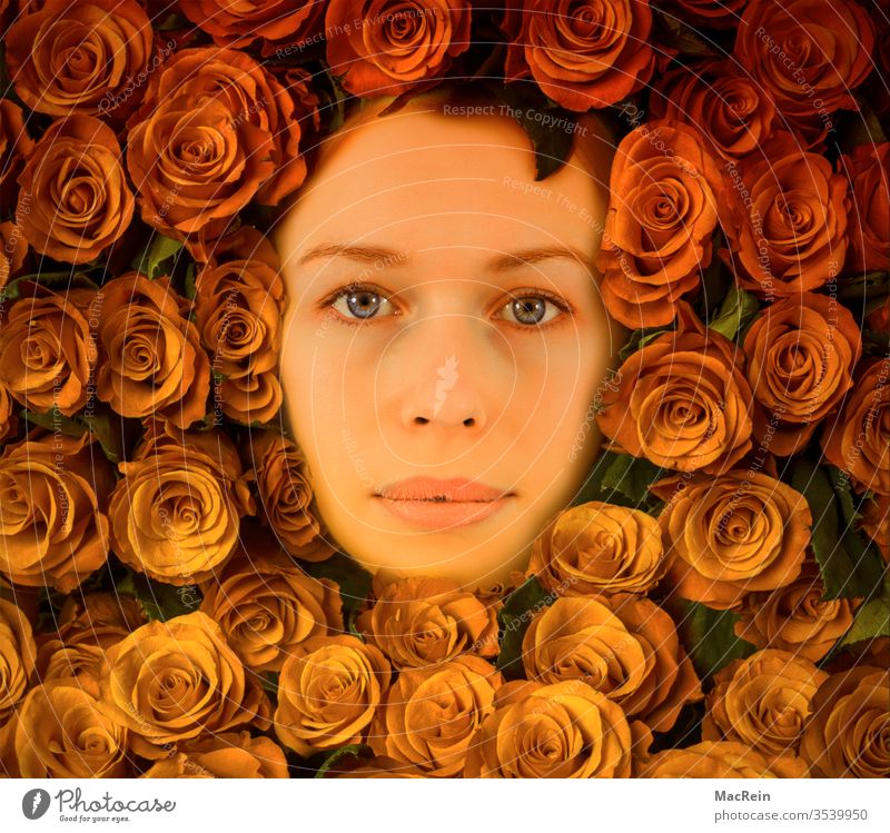 In Rosen gebettet portrait portraitfoto gesicht frau rose rosen rosenstrauß rosenblätter Rosenblüte Rosengewächse blumen erwachsene textfreiraum