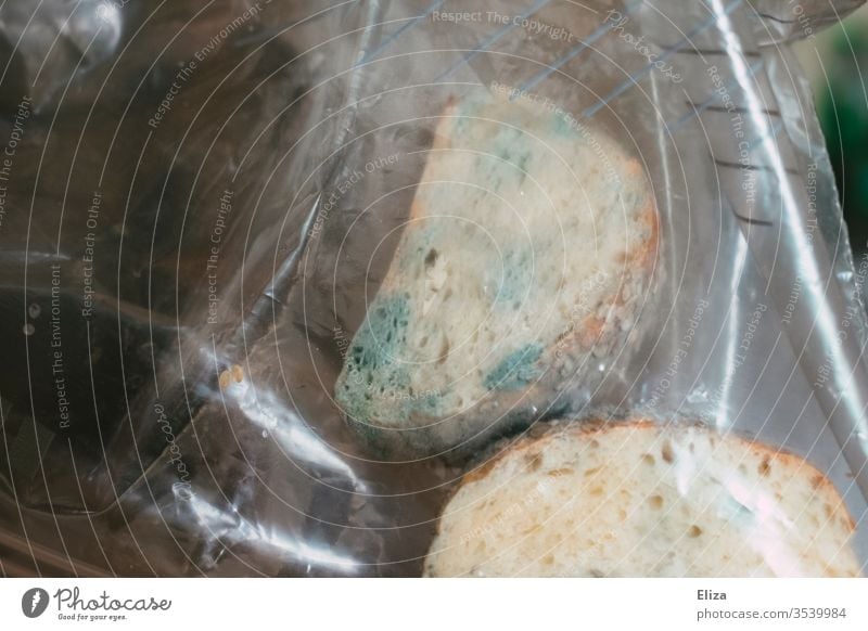vergessenes Brot mit grünem Schimmel in einer Plastiktüte alt schlecht Vergänglichkeit Lebensmittel Pausenbrot wegwerfen Lebensmittelvergiftung Müll eklig