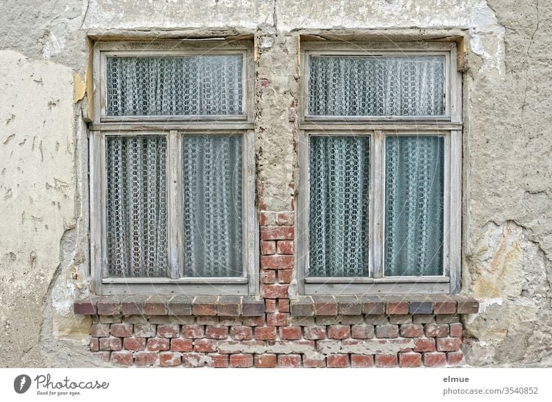zwei alte, ganze Holzfenster mit Gardinen in einer maroden Wand Fenster Armut Verfall Spekulationsobjekt Ausblick Ziegel verkommen baufällig Altbauwohnung Putz