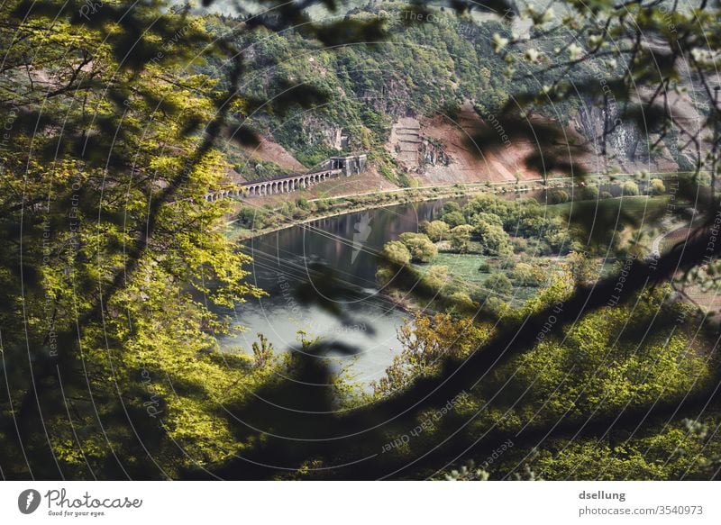 Ausblick auf die Mosel und grüne Hänge mit malerischer Eisenbahnstrecke Moseltal Hang Felsen Panorama Aussicht Bäume Wälder Kanonenbahn Reflexion & Spiegelung