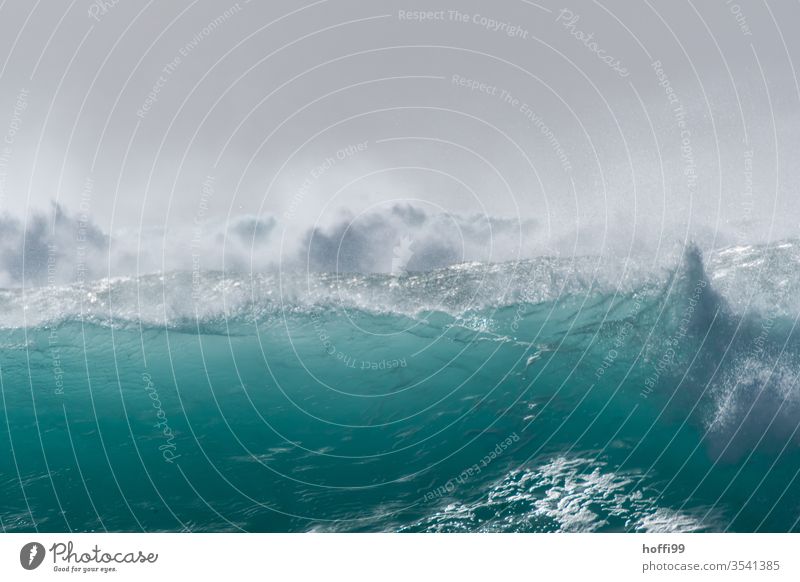 fette Welle im Atlantik bricht sich mit starker Gischt - Sommer ! Brandung Wellen Meer türkis ästhetisch Wasser Flüssigkeit Energie frisch Cabo Verde Sonne hell