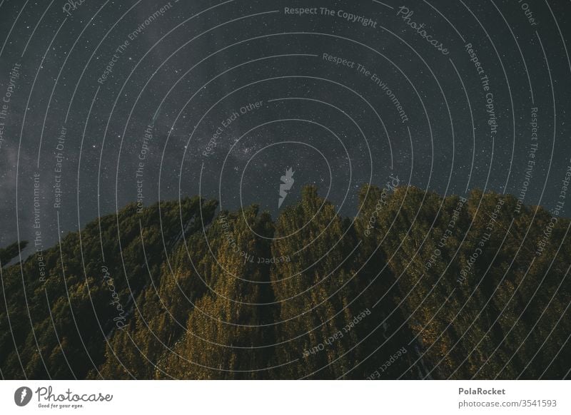 #As# Nacht Und Bäume Und So Langzeitbelichtung Nachthimmel Neuseeland Neuseeland Landschaft Wanaka Stern Sternenhimmel sternenklar Sternenhaufen Außenaufnahme