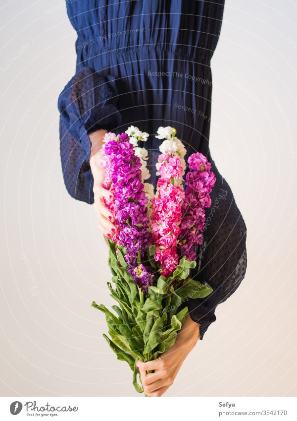 Kreatives weibliches gesichtsloses Porträt mit Blumenstrauss rosa Muttertag Frau Frühling matthiola incana Haufen purpur romantisch Blumenstrauß Frauentag