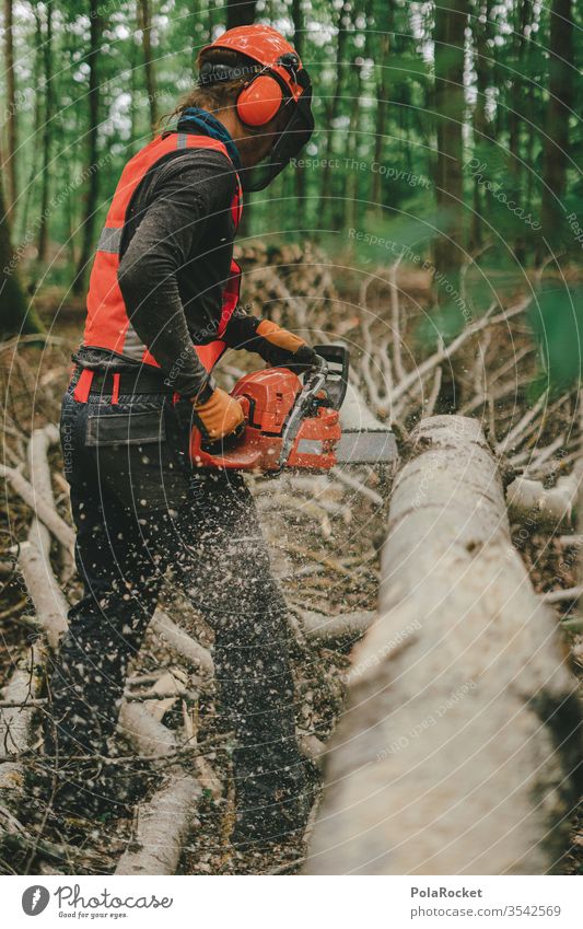 #S# Waldarbeiter in Aktion Holz Brennholz Kettensäge Schutzausrüstung Helm Meter Buche Holzarbeiten Natur Baum Holzfäller Forstwirtschaft Baumstamm Abholzung