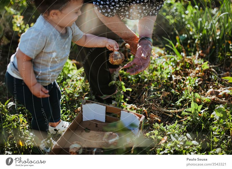 Gartenarbeit von Kindern und Großmüttern Großmutter Mensch Enkel Familie & Verwandtschaft Zwiebel Bioprodukte organisch Generation Glück authentisch Natur Frau