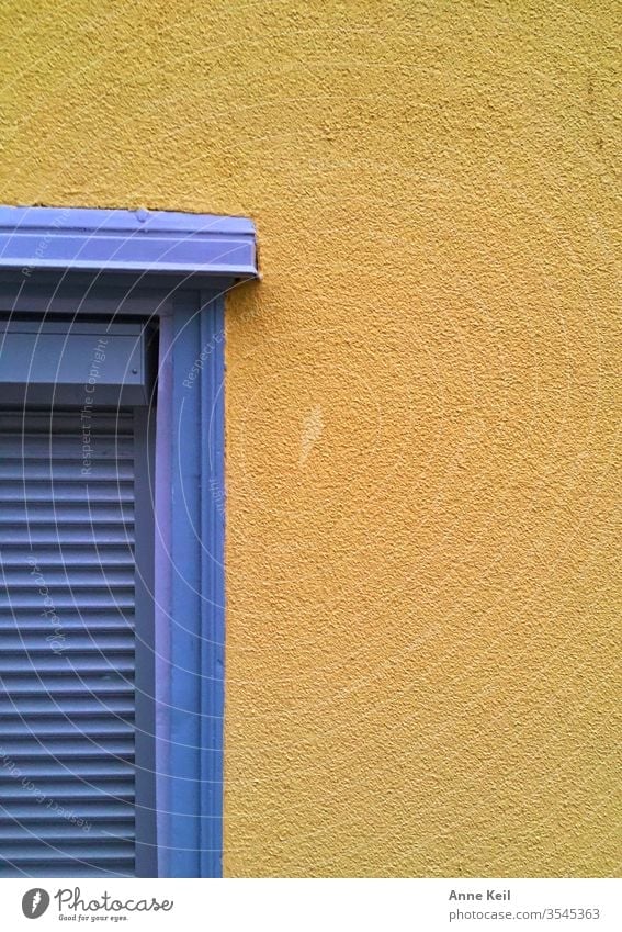 Blauer Fensterladen auf gelber Wand. Sie mochte die Farbkombination und fand sie immer wieder. Vorderansicht Zentralperspektive Tag Menschenleer Außenaufnahme