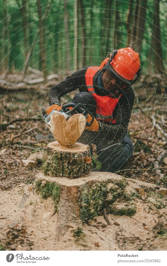 #S# Waldarbeiter mit Herz II Holz Brennholz Kettensäge Schutzausrüstung Helm Meter Buche Holzarbeiten Natur Baum Holzfäller Forstwirtschaft Baumstamm Abholzung