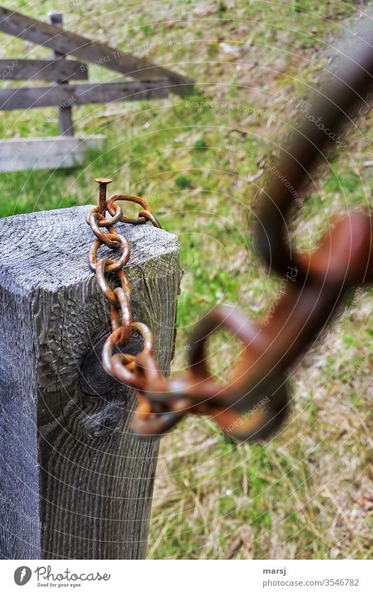 Rostige Eisenkette ist bei einem Nagel eingehängt. Kette Holzpfahl verschließen verschlossen zugesperrt Holzzaun Metall Kettenglied Zusammenhalt Verbundenheit