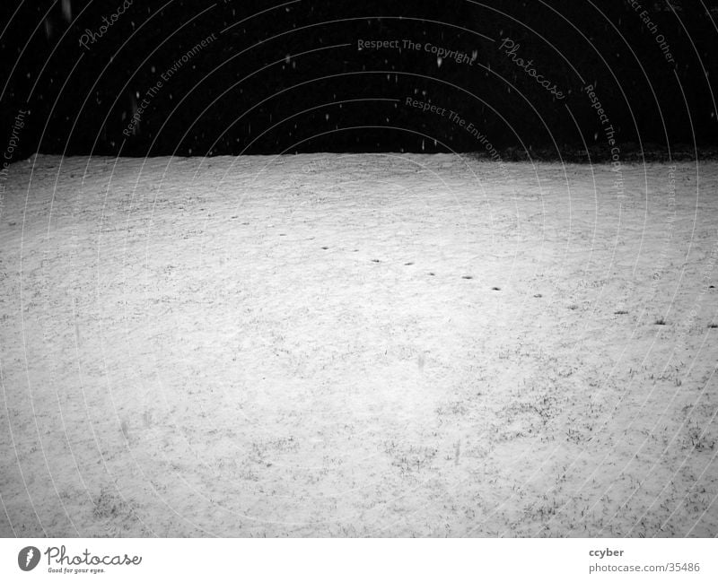 Spuren im Schnee schwarz weiß Winter kalt tracks