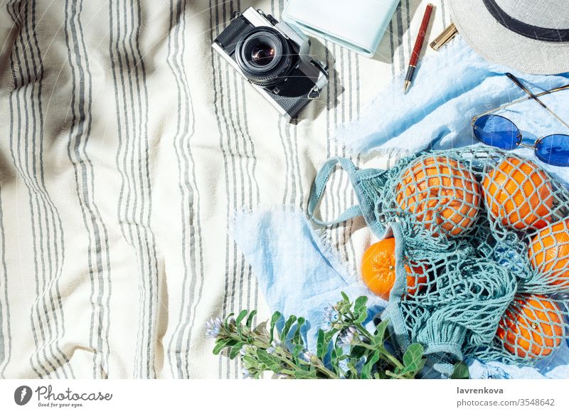 Sommerpicknick Flatlay, Früchte, Beeren und Zitronenwasser auf gestreifter Baumwolldecke Blumenstrauß Fotokamera Zitrusfrüchte kalt Filmmaterial Lebensmittel