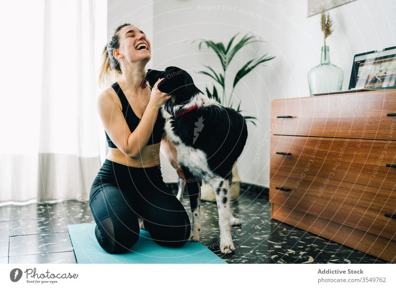 Fröhliche Frau hat Spaß mit Hund während der Yoga-Stunde zu Hause heimwärts Spaß haben Lachen lutschen Begleiter Freund Zusammensein Lächeln Besitzer Reinrassig