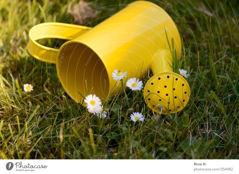 Endlich Sommer Garten Ein Lizenzfreies Stock Foto Von Photocase