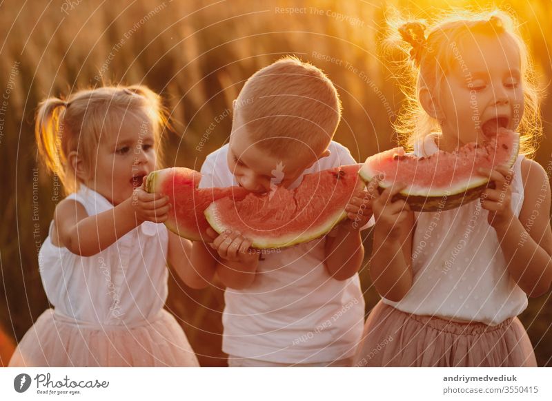 glückliche Kinder, die Wassermelone essen. Kinder essen Obst im Freien. Gesunder Snack für Kinder. Kleine Mädchen und Jungen spielen im Garten und beißen in eine Scheibe Wassermelone. warmer und sonniger Sommertag