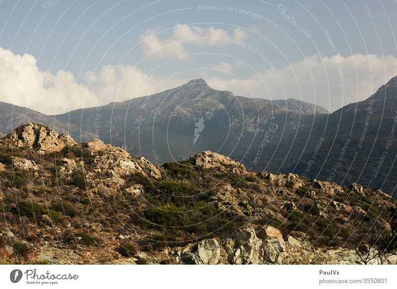 Berg Gipfel auf Korsika im Sommer Berge u. Gebirge ausblick mediterran Panorama (Aussicht) Aufstieg Mittelmeer Ferien & Urlaub & Reisen Farbfoto Natur