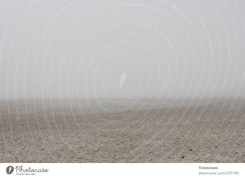 Nebelgänger. Ferien & Urlaub & Reisen Umwelt Natur Sand Himmel Strand Nordsee gehen einfach natürlich grau Gefühle Dänemark Farbfoto Gedeckte Farben