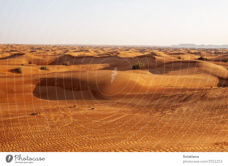 Sanddünen in der Wüste bei Sonnenuntergang in Dubai Safari Abenteuer Afrika Afrikanisch arabisch Hintergrund schön blau wüst trocknen Düne Ägypten leer extrem