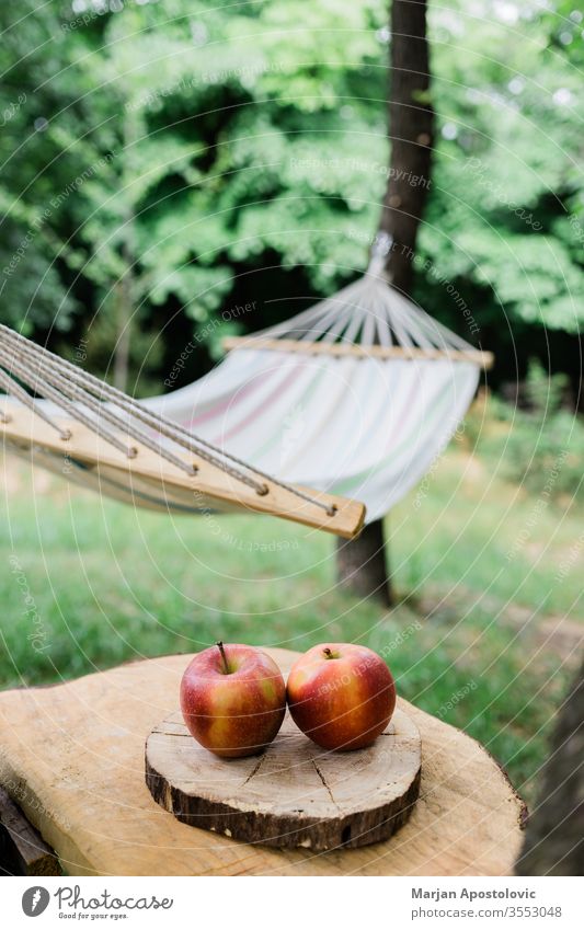 Wiegenetz im Hinterhof am Wald Abenteuer Äpfel Windstille Konzept leicht genießen Freiheit Möbel Garten grün Grün Hängematte Gesundheit Feiertag idyllisch