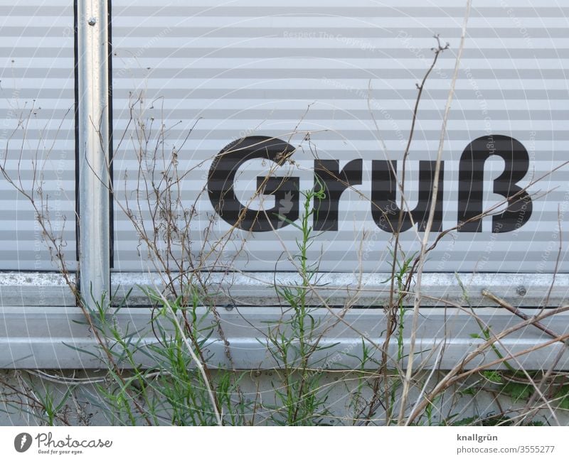 Das Wort „Gruß“ steht unten auf einer Aluminium Wandverkleidung, davor ein paar halb verwelkte Grünpflanzen Schilder & Markierungen Buchstaben Fassade