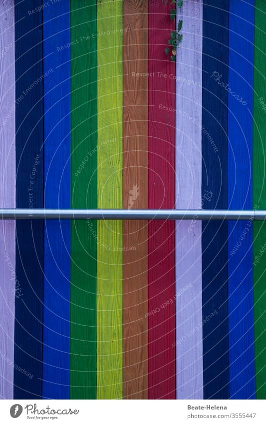 Vorhang 5 Fenster bunt Lamellen Sichtschutz Strukturen & Formen Häusliches Leben Jalousie Rollo Linie Schatten Schutz