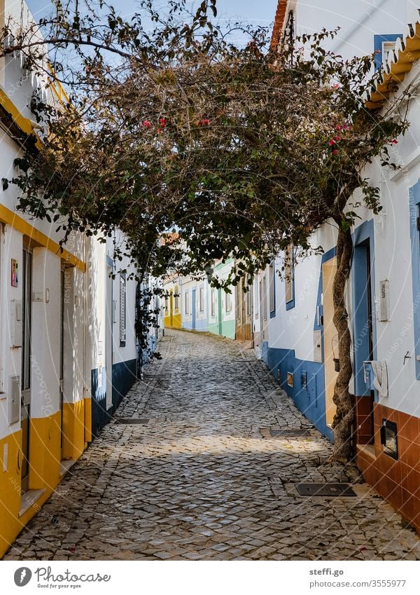 kleine Gasse mit bunten Häusern und einem Baum in Ferragudo, Portugal Europa Altstadt Ferien & Urlaub & Reisen Haus Architektur Menschenleer Außenaufnahme Tag