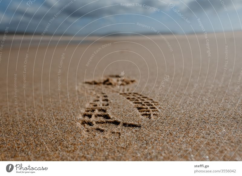 Weitwinkelaufnahme am Sandstrand mit Felsen und blauem Himmel Strand Felsalgarve Küste Meer Ferien & Urlaub & Reisen Natur Landschaft Wasser Reisefotografie