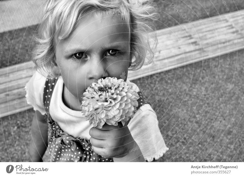 Kinderaufgen - Kinderseelen Mensch feminin Kleinkind Mädchen Schwester Kindheit 1 3-8 Jahre Blume Kleid festhalten blond schwarz weiß Gefühle Schwarzweißfoto