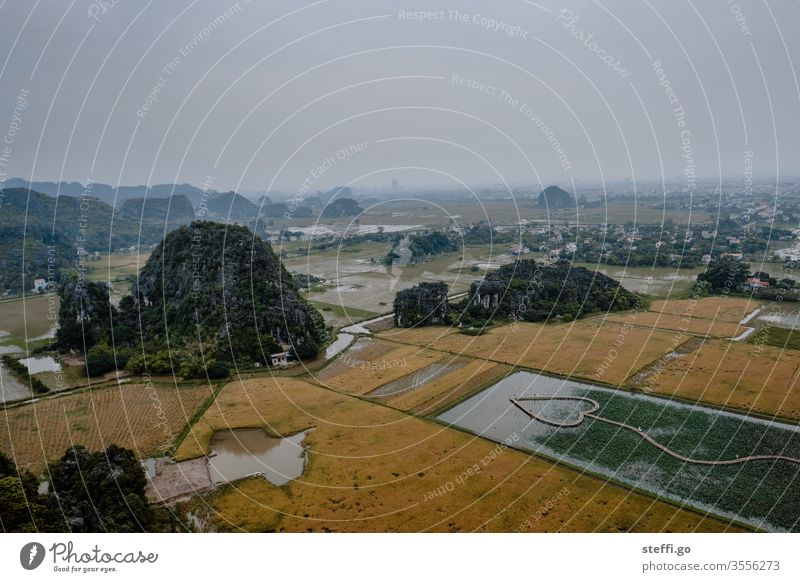 Blick auf die Fels- und Karstlandschaft vom Hang Mua Viewpoint in Ninh Binh in Vietnam; trockene Halong-Bucht ninh binh binh Karstgebirge trockene Halon-Bucht