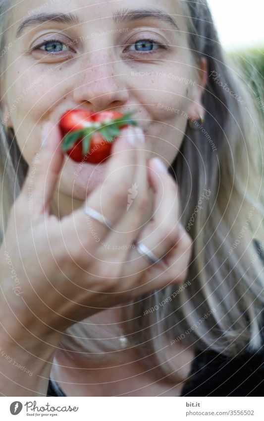 Wörtlich genommen l ich bin so wild nach deinem Erdbeermund Frau Junge Frau Essen Erwachsene Erdbeeren rot genießen Mund 18-30 Jahre Frucht Porträt schön