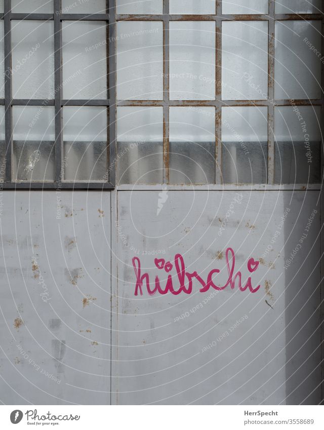 Hübsch, oder? Tor Eingangstor Fenster Metalltür Schriftzeichen Außenaufnahme geschlossen Haus alt hübsch rosa Aufschrift Meinungsäußerung Glasscheibe