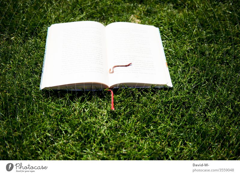 Bücherwurm | wörtlich genommen Buch Wurm Buecherwurm bücher lesen Lesestoff Buchstaben Buchseite draußen Rasen liegen Regenwurm Natur Garten Naturliebe
