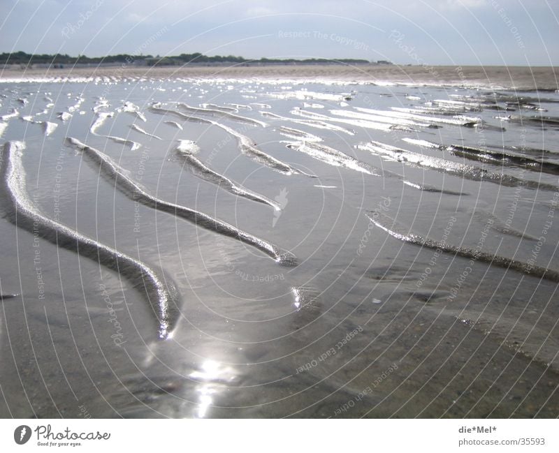 Sandwellen Strand Wellen Meer grau Reflexion & Spiegelung ruhig Ferien & Urlaub & Reisen Niederlande Algen siel Stranddüne Sonne Wasser Landschaft hell