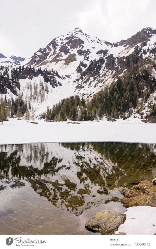 Spiegelung eines Berges im Duisitzkarsee Bergsee Berge u. Gebirge Spiegelung im Wasser Österreich wandern Ausflug Ausflugsziel Tourismus stilles Wasser Stille