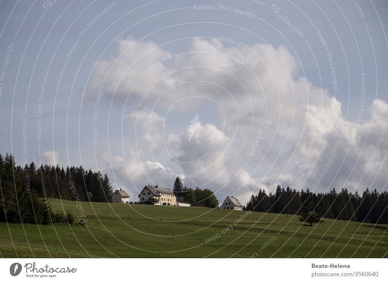 Naturidylle 2 Landschaft natürlich Wald Wiese Außenaufnahme Gras Himmel Wolken Dorf