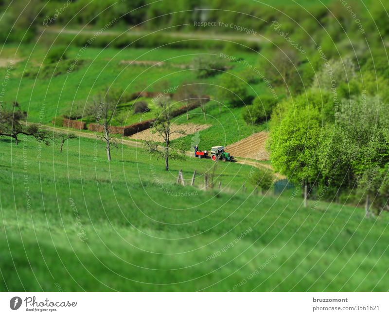 Traktor auf dem Feld Tilt-Shift Landwirtschaft Tal Wiese Bäume Frühjahr Bauer Natur