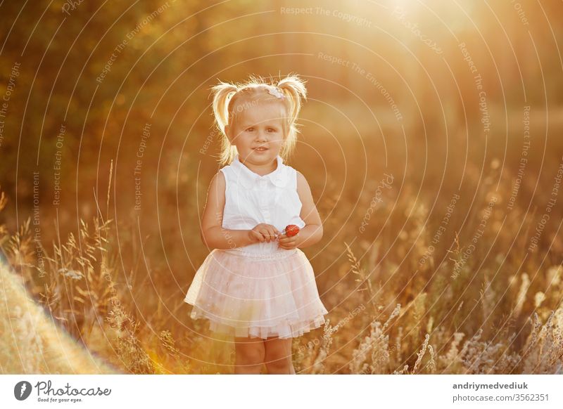 kleines Mädchen mit zwei Schwänzen. hübsches kleines Baby in einem rosa Rock. Das Mädchen geht bei Sonnenuntergang im Park spazieren wenig Kind Porträt Frühling