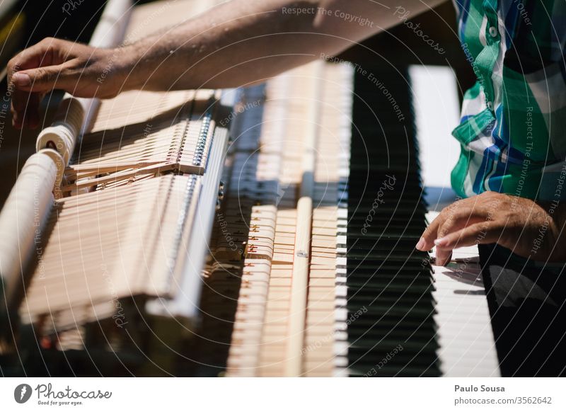 Klavierstimmer mit Klavierbefestigung Pianist Pianotastatur Melodie Musik Keyboard Klavier spielen Konzert Musikinstrument Musiker Innenaufnahme Hand