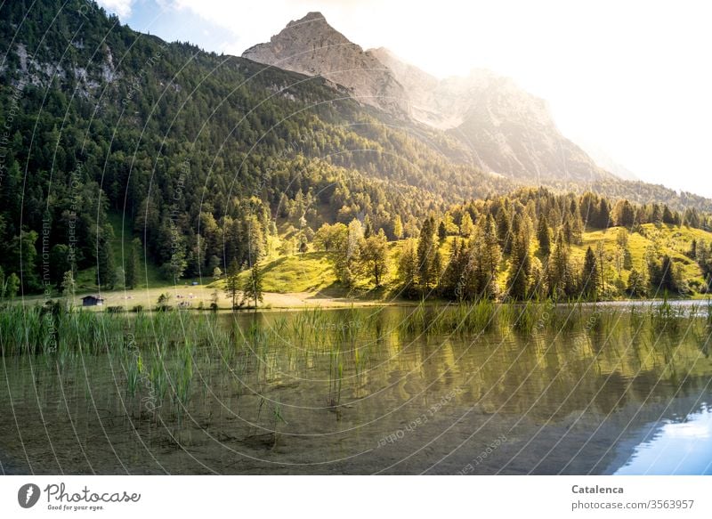 Blick vom Ferchensee auf den Wetterstein am frühen Morgen Berge Gebirge Berge u. Gebirge Alpen Wiese Wald Fichten Tannen Gras Gebirgssee See Wasser Himmel