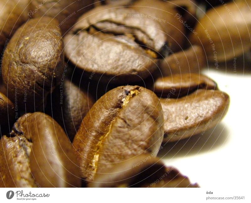 Kaffeebohnen #2 Bohnen Espresso Geschmackssinn Makroaufnahme Nahaufnahme aromatisch coffee