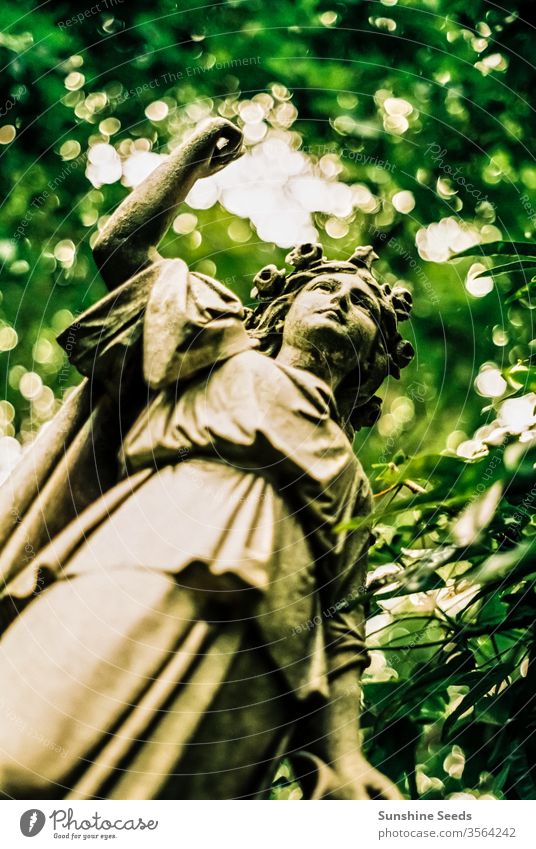 Engelsstatue von unten in einem alten Friedhof abschließen friedlich Glaube gebrochen retro Beschädigte behauen Stein Baum vergraben Tod Cherub Amorette