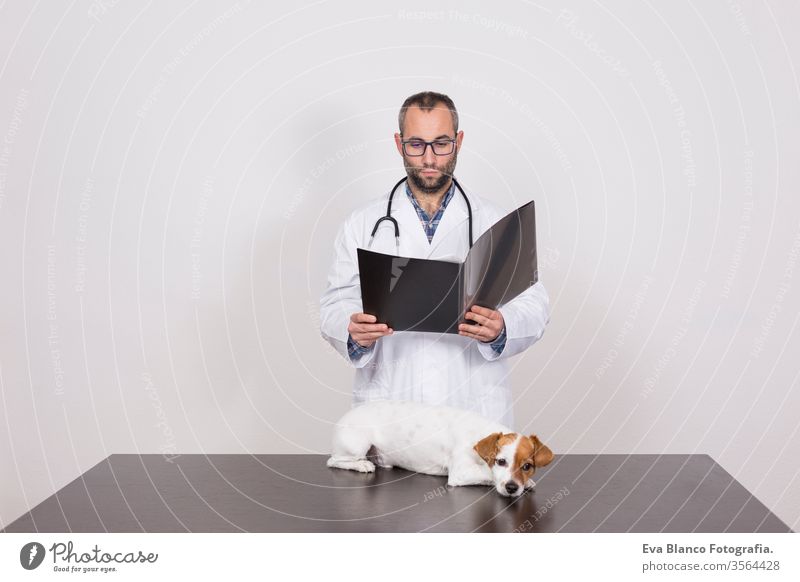 junger veterinärmedizinischer Mann liest Dokumente über die Krankheit eines süßen kleinen Hundes.auf weißem Hintergrund. Innenbereich Medizin Besitzer männlich