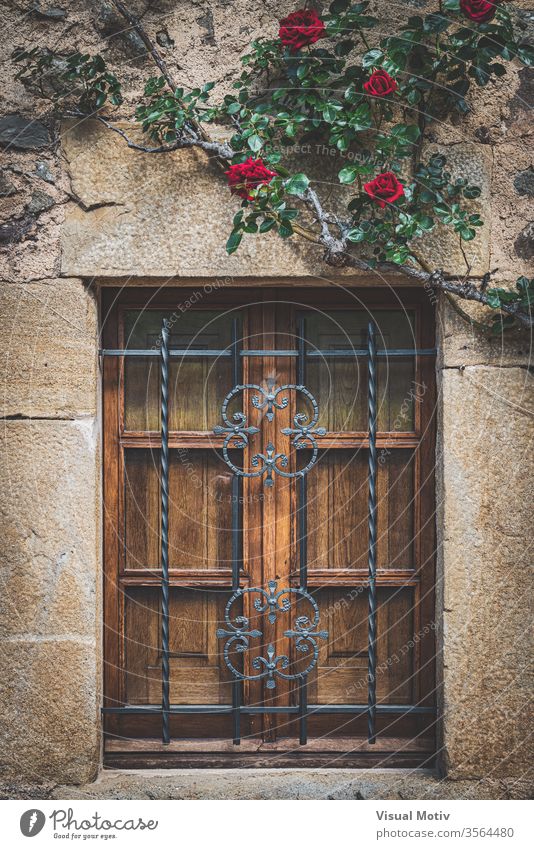 Fassade eines traditionellen mediterranen Hauses mit einem Holzgitterfenster und roten Kletterrosen hölzern gitterartig Fenster Klettern Roséwein Farbe