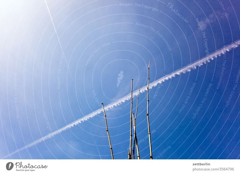 Kondensstreifen mit Bambus kondensstreifen chemtrail froschperspektive himmel hintergrund klima klimawandel aluhut menschenleer meteorologie chemical trail