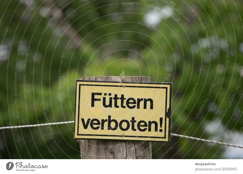 VERBOTS- SCHILD " Füttern verboten " befestigt auf einem Holzfahl. Im Hintergrund viel Grün. Verbots Schild Farbfoto Außenaufnahme Schilder & Markierungen