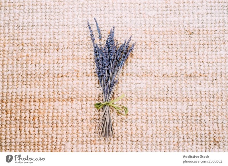 Lavendelzweig auf Korb-Rattan-Ständer auf Teppich. Blumenstrauß aromatisch duftig purpur zerbrechlich getrocknet Bändchen gebunden Blütezeit Vorleger Pflanze