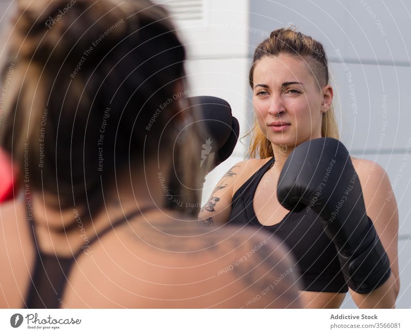 Entschlossenes Boxerinnen-Training auf der Straße Boxsport Handschuh Sportlerinnen Kämpfer Bowle Bestimmen Sie passen Sportpark aktive Kleidung Athlet Körper