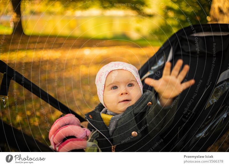 Ein einjähriges süßes Mädchen in schwarzem Kinderwagen staunte über das bunte Herbstlaub. Die Hand zum Anfassen ausstrecken Baby Ausdruck Park schlendern fallen
