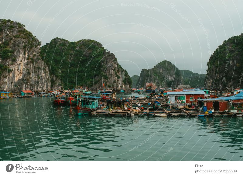 Schwimmendes Dorf in der Halong Bay in Vietnam schwimmendes Dorf floating village vietnam Halong Bucht Fischer bunt Leben auf dem Wasser Kalksteinfelsen Meer