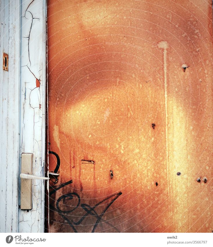 Brandschutztür Tür alt trashig türklinke Graffiti Menschenleer Farbfoto Außenaufnahme Tag Wand Holz Tor Vergänglichkeit Textfreiraum oben Textfreiraum rechts