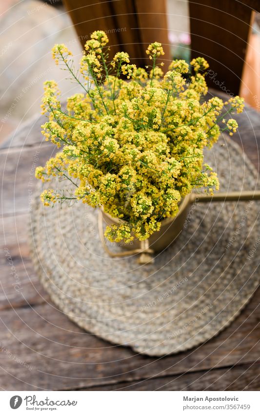 Schöne gelbe Wildblumen auf dem Holztisch im Hinterhof Ordnung Hintergrund schön Schönheit Blütezeit Überstrahlung Botanik Blumenstrauß Haufen Nahaufnahme Farbe