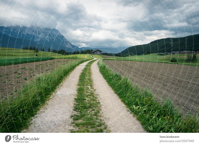 Gewundener Weg durch Ackerland mit österreichischen Alpen, Mieminger Plateau, Tirol, Österreich Ackerbau Bauernhof Landschaft ökologisch tirol Feld regional